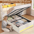 AOGLLATI  140x200 Lit de stockage hydraulique avec lumière LED et prises électriques plusieurs espaces de stockage sans matelas housse de