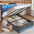 AOGLLATI  140x200 Lit de stockage hydraulique avec lumière LED et prises électriques plusieurs espaces de stockage sans matelas housse de