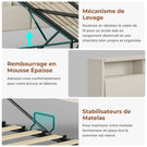 AOGLLATI Canapé lit 90 x 200 Lit Coffre 90 x 200 avec LED et Ports USB Lit Hydraulique avec Tête de Lit capitonné et Rangement
