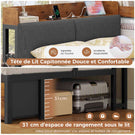 AOGLLATI Canapé Lit 90x200 avec Rangement Lit Coffre 90x200 avec Multiprise et Éclairage LED