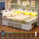 AOGLLATI Canapé Lit 90x200 avec Rangement Lit Coffre 90x200 avec Multiprise et Éclairage LED