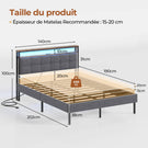 Lit double AOGLLATI 140 x 190 avec multiprise et éclairage LED réglable équipé d'un sommier métallique