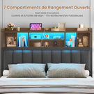 Lit double AOGLLATI 140 × 200 cm avec rangement hydraulique équipé d'un espace de rangement en tête de lit d'un éclairage d'ambiance LED d'une station de recharge USB et d'une tête de lit rembourrée