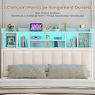 Lit double AOGLLATI 140 × 200 cm avec rangement hydraulique équipé d'un espace de rangement en tête de lit d'un éclairage d'ambiance LED d'une station de recharge USB et d'une tête de lit rembourrée