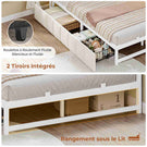 AOGLLATI Canapé Lit 140x200 avec Étagère Ouverte et 2 Grands Tiroirs Lit 140x200 avec Éclairage LED et Multiprise