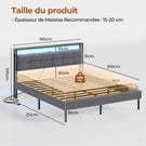 Lit double AOGLLATI 160 x 200 avec multiprise et éclairage LED réglable équipé d'un sommier métallique