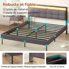 Lit double AOGLLATI 160 x 200 avec multiprise et éclairage LED réglable équipé d'un sommier métallique