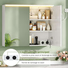 AOGLLATI Meuble de Salle de Bain avec Éclairage LED et Prise, 80x19.5x60 cm