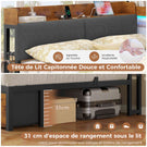 Canapé-lit AOGLLATI 140 x 200 avec rangement plusieurs p Rich text editor Descriptionrises et éclairage LED  avec tête de lit rembourrée lit pour enfants lit double avec cadre en métal